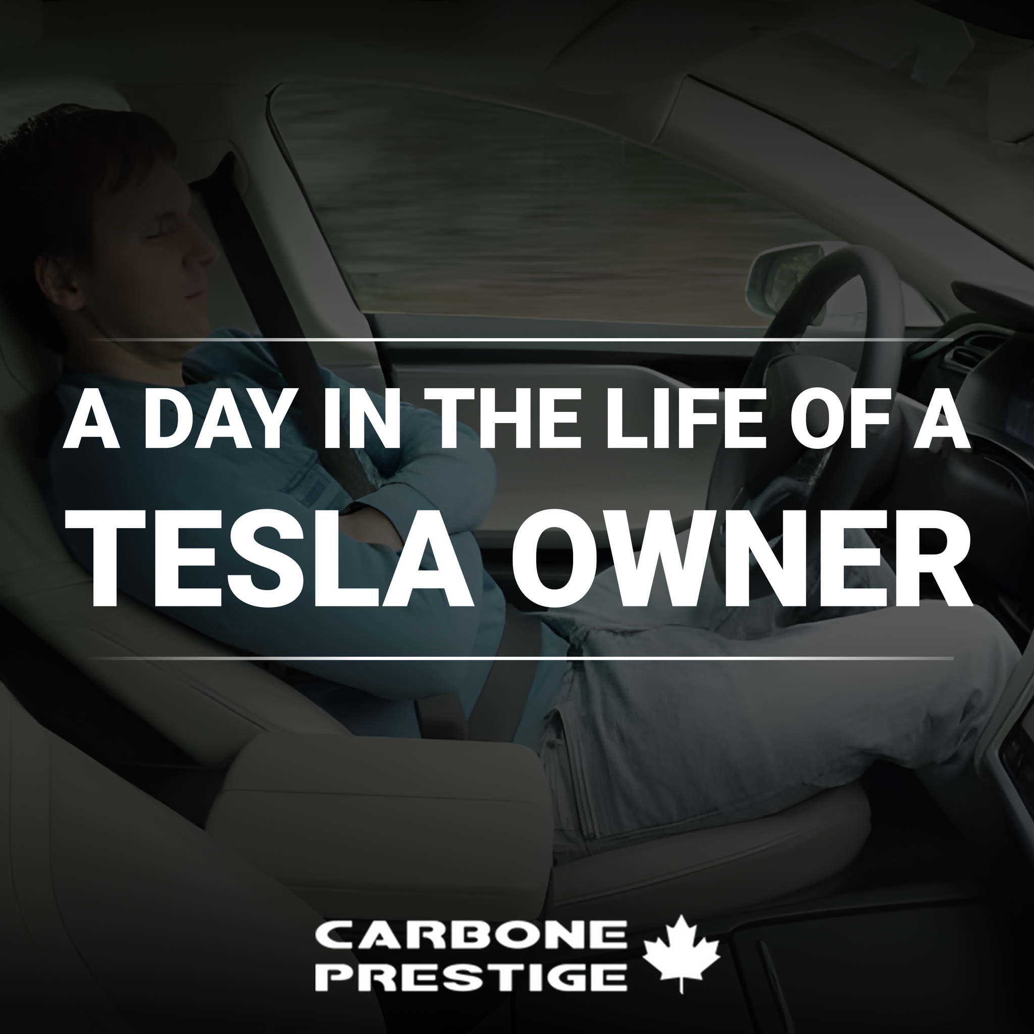 A Day in the Life of a Tesla Owner: Real Stories from the Community