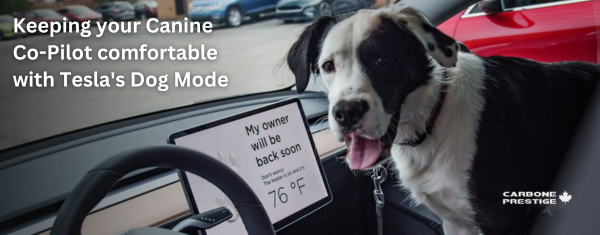 Keeping Your Canine Co-Pilot Comfortable with Tesla's Dog Mode